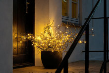 Lyskjede med 100 LED-pærer 9,9 meter